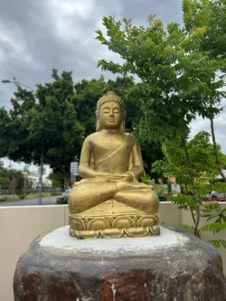 Authentic Brisbane Thai Massage at Thai Buddha Massage